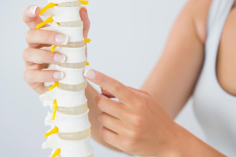 about our chiropractic office  Warwick, NY 